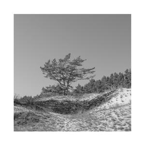 亲子乱大交做爰幼女中字
